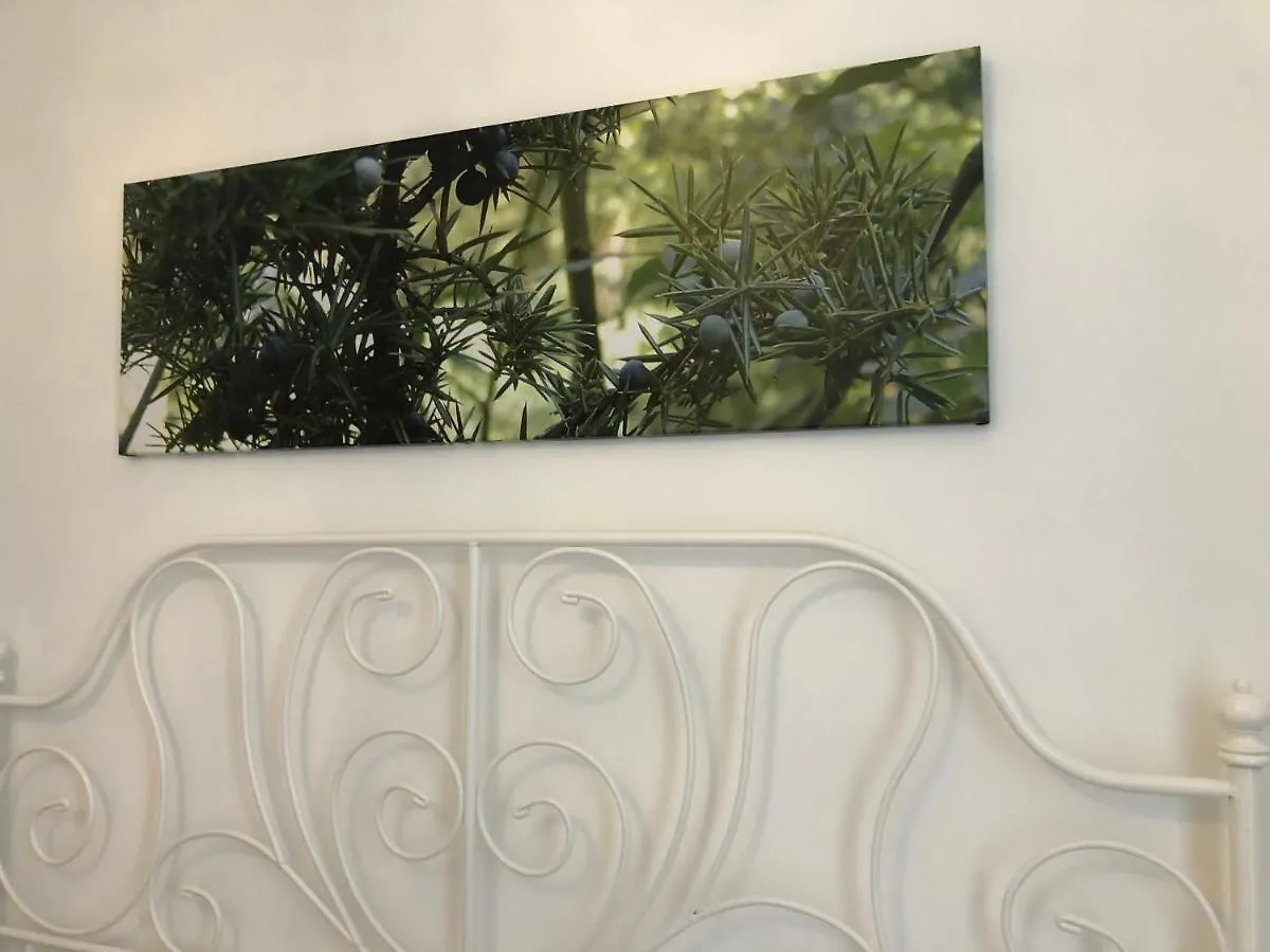 Nocleg ze śniadaniem Sa Vivenda Rooms Alghero